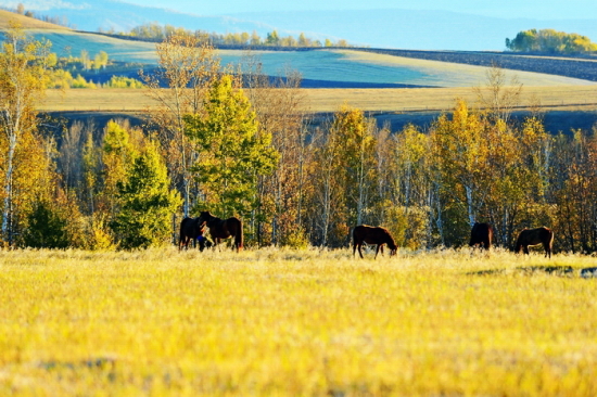 ��ɫ�Ĳ�ԭ-��Ȼ�羰