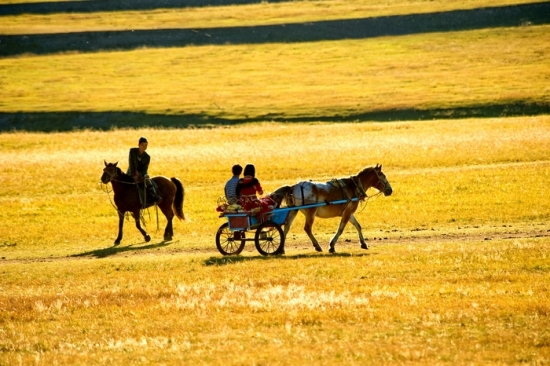 ��ɫ�Ĳ�ԭ-��Ȼ�羰