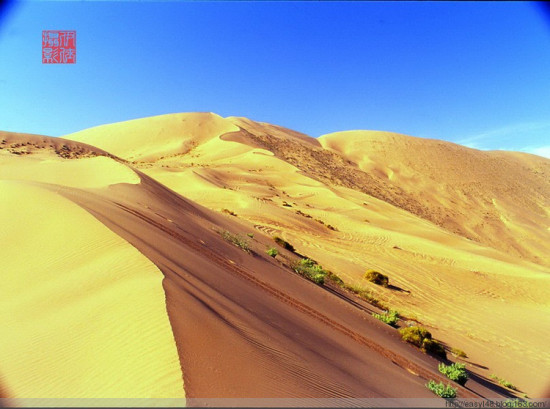 ����ɳĮ-��������