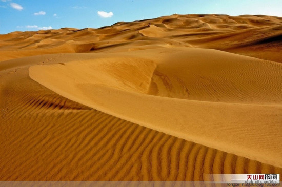 ����ɳĮ-��������