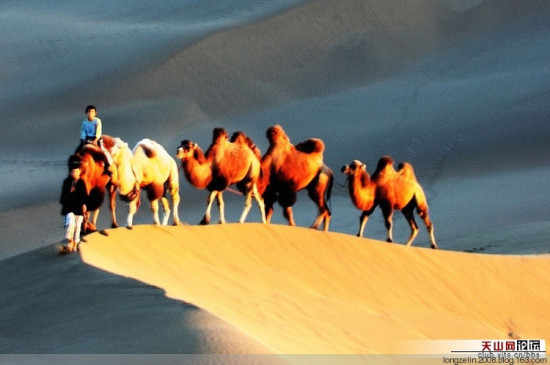 ����ɳĮ-��������