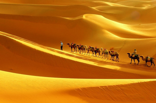 ����ɳĮ-��������