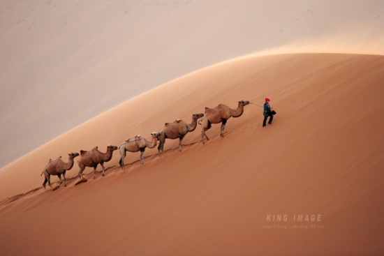 ����ɳĮ-��������