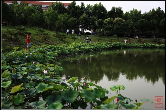 �������-ֲ�ﻨ��