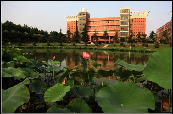 �������-ֲ�ﻨ��