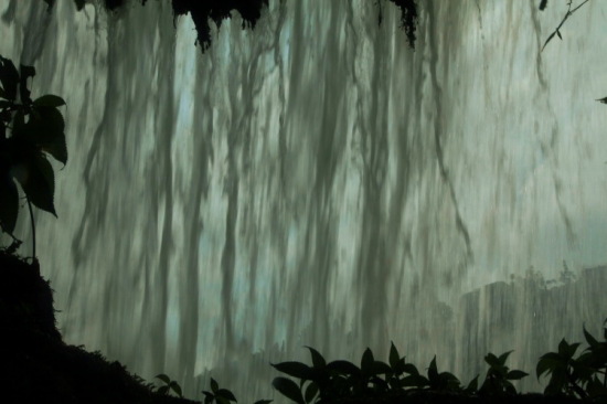 �ƹ����ٲ�-���ϵ���