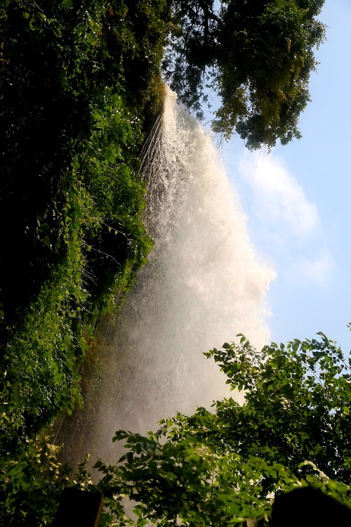 �ƹ����ٲ�-���ϵ���