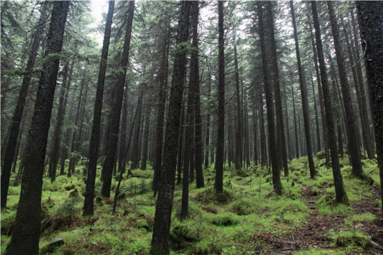 ����<span class=lxw>[ע: ������һֱ��ú̿��Դ��������Դ�ḻ��֪�������䣬�ųơ���˳ǡ���������������һ�����������͵�������彨���У���Ҳ���������ʶ�Ŀ�ġ����ޡ���ʷ��]</span>«ѿɽ-��Ȼ�羰