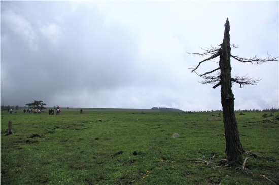 ����«ѿɽ-��Ȼ�羰