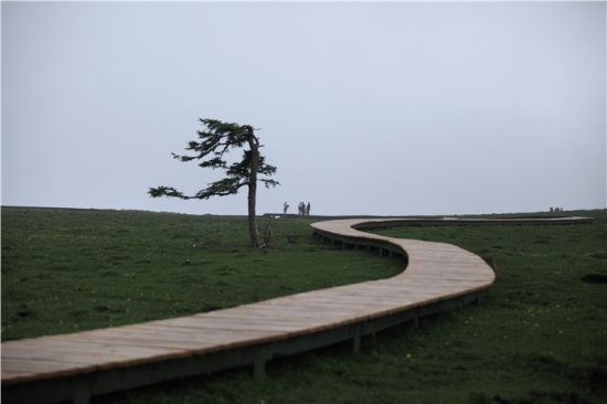 ����«ѿɽ-��Ȼ�羰