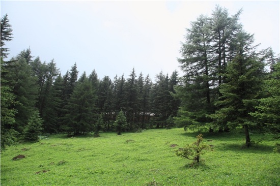 ����«ѿɽ-��Ȼ�羰