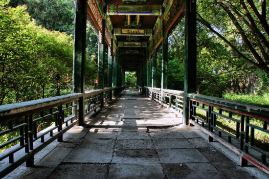 ������ѧ������-��Ȼ�羰