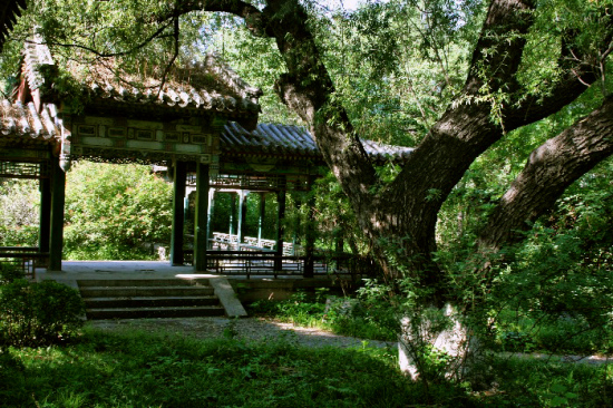 ������ѧ������-��Ȼ�羰