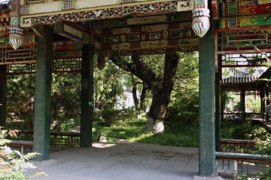 ������ѧ������-��Ȼ�羰