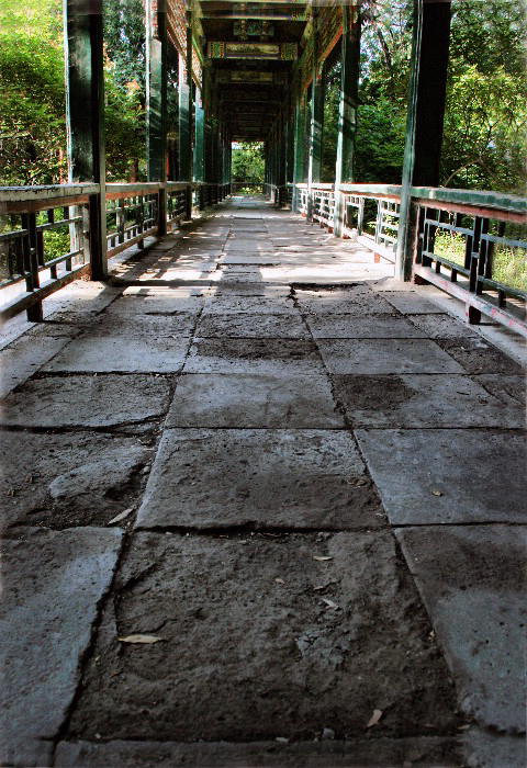 ������ѧ������-��Ȼ�羰