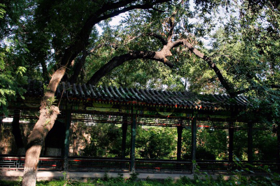 ������ѧ������-��Ȼ�羰