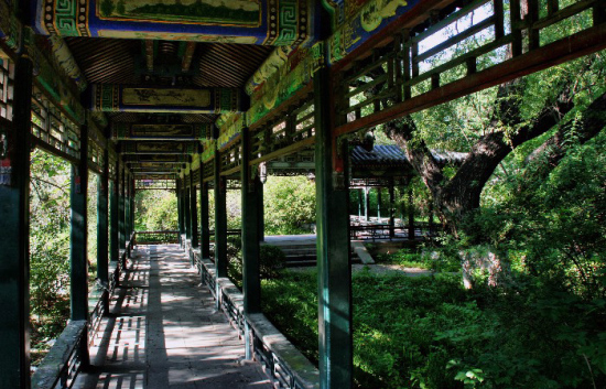 ������ѧ������-��Ȼ�羰