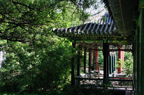 ������ѧ������-��Ȼ�羰