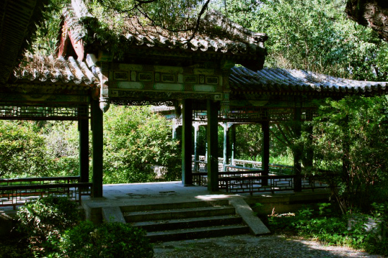 ������ѧ������-��Ȼ�羰