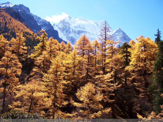 �����������--�Ƕ�<span class=lxw>[ע: �Ƕ��羰����λ�ڸ������ϲ������������羳�ڣ������������ա������¡���ŵ�༪����ѩ��Ϊ������.-yading]</span>-���ϵ���