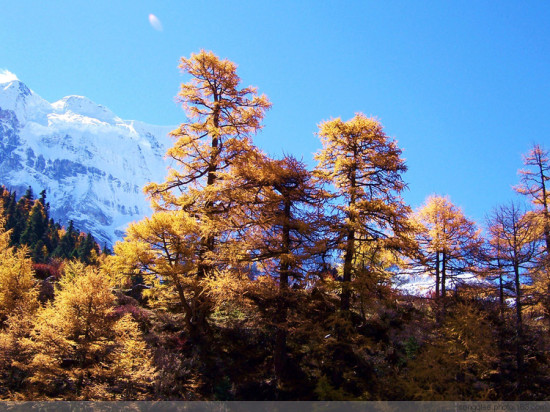 �����������--�Ƕ�-���ϵ���