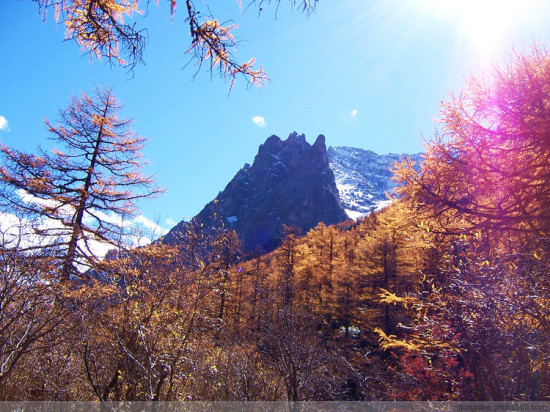 �����������--�Ƕ�-���ϵ���