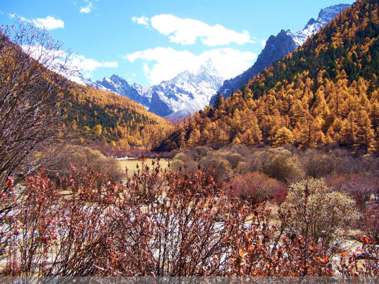 �����������--�Ƕ�-���ϵ���