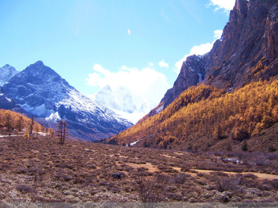 �����������--�Ƕ�-���ϵ���