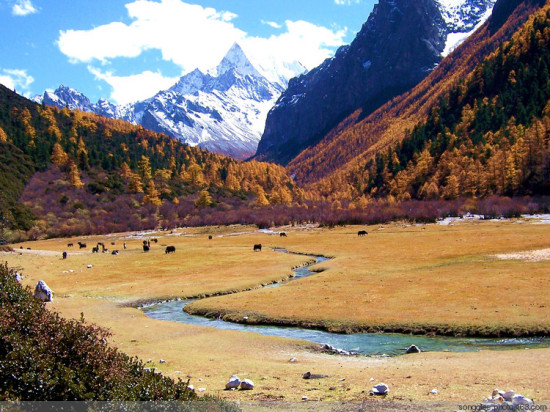 �����������--�Ƕ�-���ϵ���