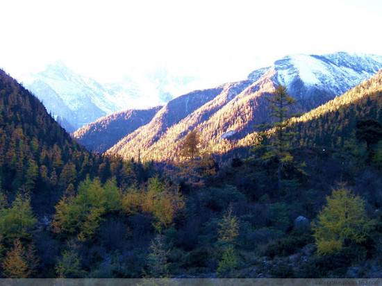 �����������--�Ƕ�-���ϵ���