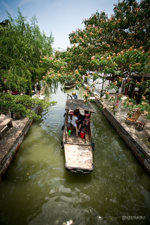 ��ҽ�֮�� һ-������Ӱ