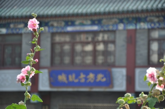 ��¥��һ��-������Ӱ