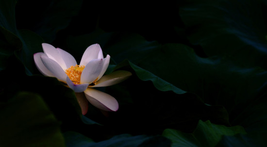 ���۱�ޡ-��Ȼ�羰