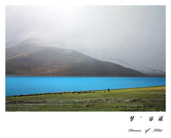 ��� ��׿Ӻ�� ���� �Ρ�����(��)-���ϵ���