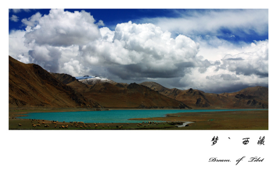 ��� ��׿Ӻ�� ���� �Ρ�����(��)-���ϵ���