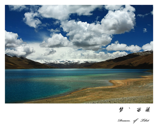 ��� ��׿Ӻ�� ���� �Ρ�����(��)-���ϵ���