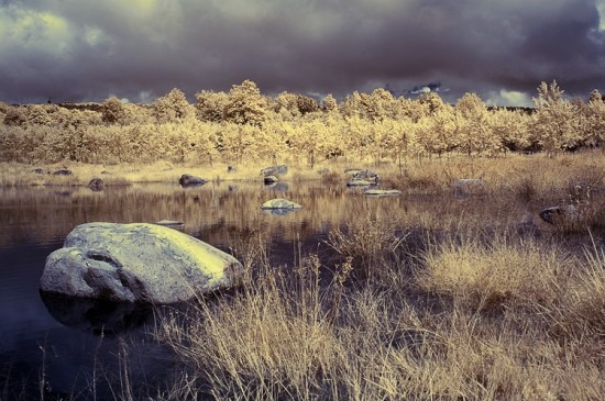 ��ɫ����-��Ȼ�羰