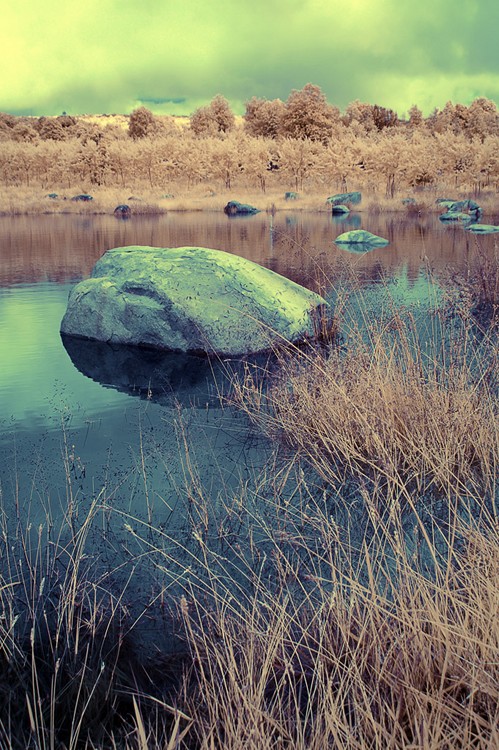 ��ɫ����-��Ȼ�羰