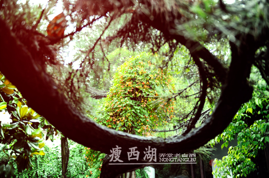 ������-��������