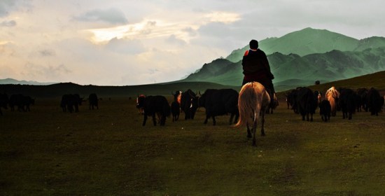 ������ԭ-��Ȼ�羰