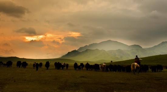 ������ԭ-��Ȼ�羰