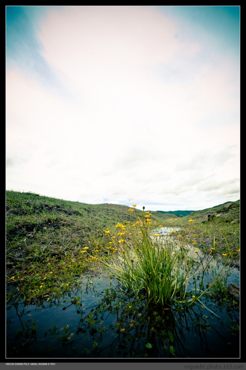 �����Ƿ���-���ϵ���