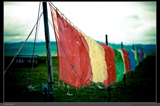 �����Ƿ���-���ϵ���