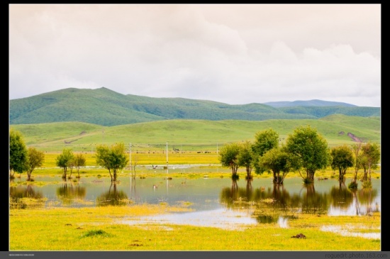 �����Ƿ���-���ϵ���