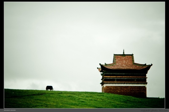 �����Ƿ���-���ϵ���