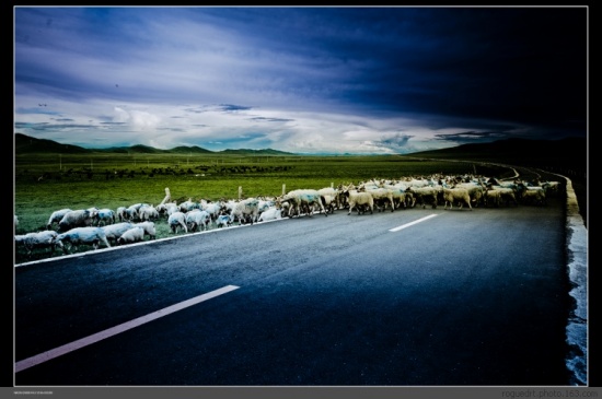 �����Ƿ���-���ϵ���