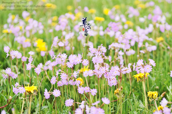 ��ԭ�������¡�-��Ȼ�羰