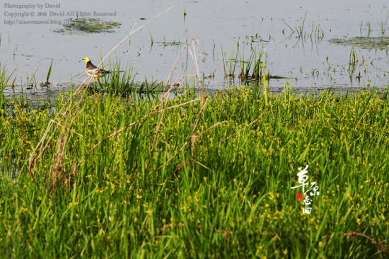 ��ԭ�������¡�-��Ȼ�羰