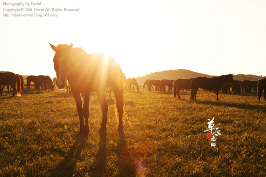 ��ԭ�������¡�-��Ȼ�羰