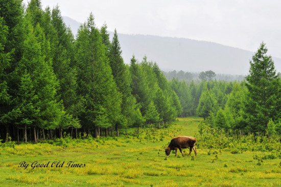 ������һƳ-��Ȼ�羰